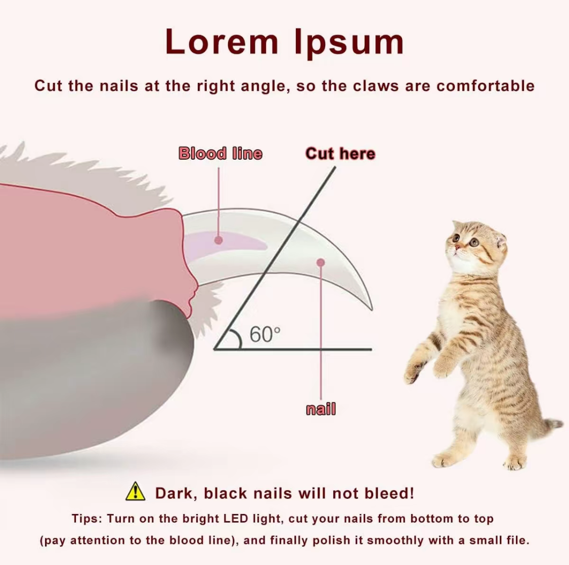Lexora™ Premium 2 In 1 Pet Nail Clippers With Led